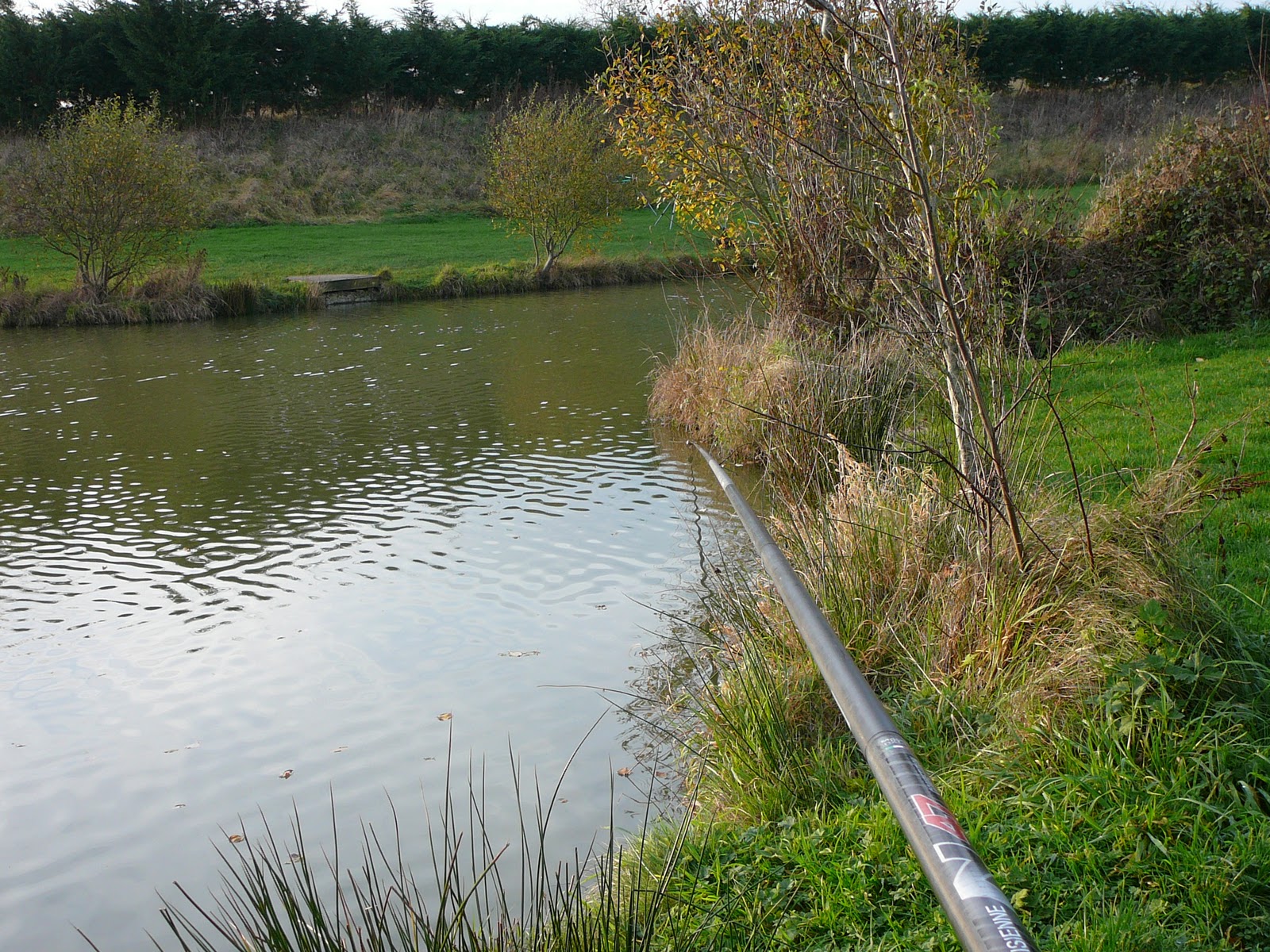 Fishing-Ken's Angling Log: 20/11/11 - Todber Manor - Park Lake