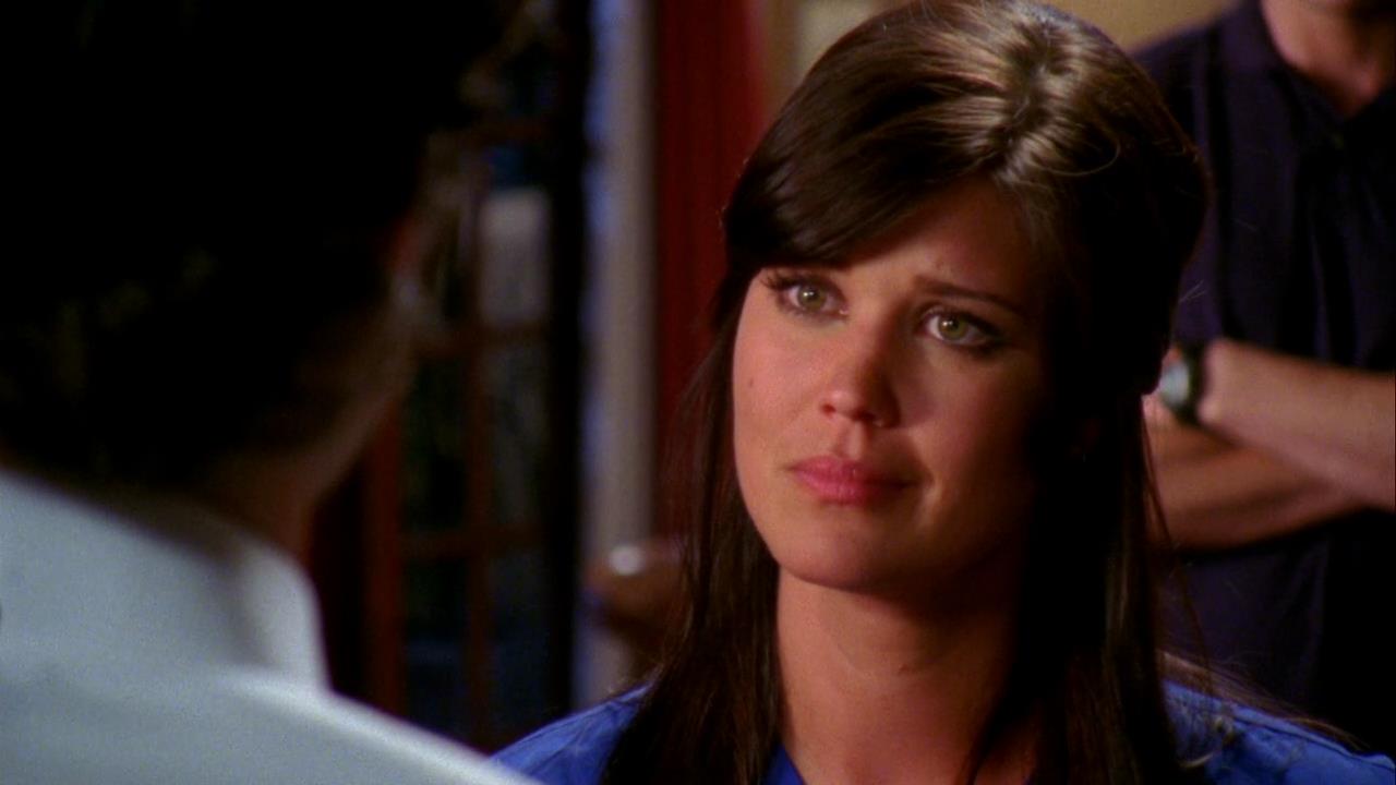 The Chuck Series Companion Chuck Versus The Dream Job