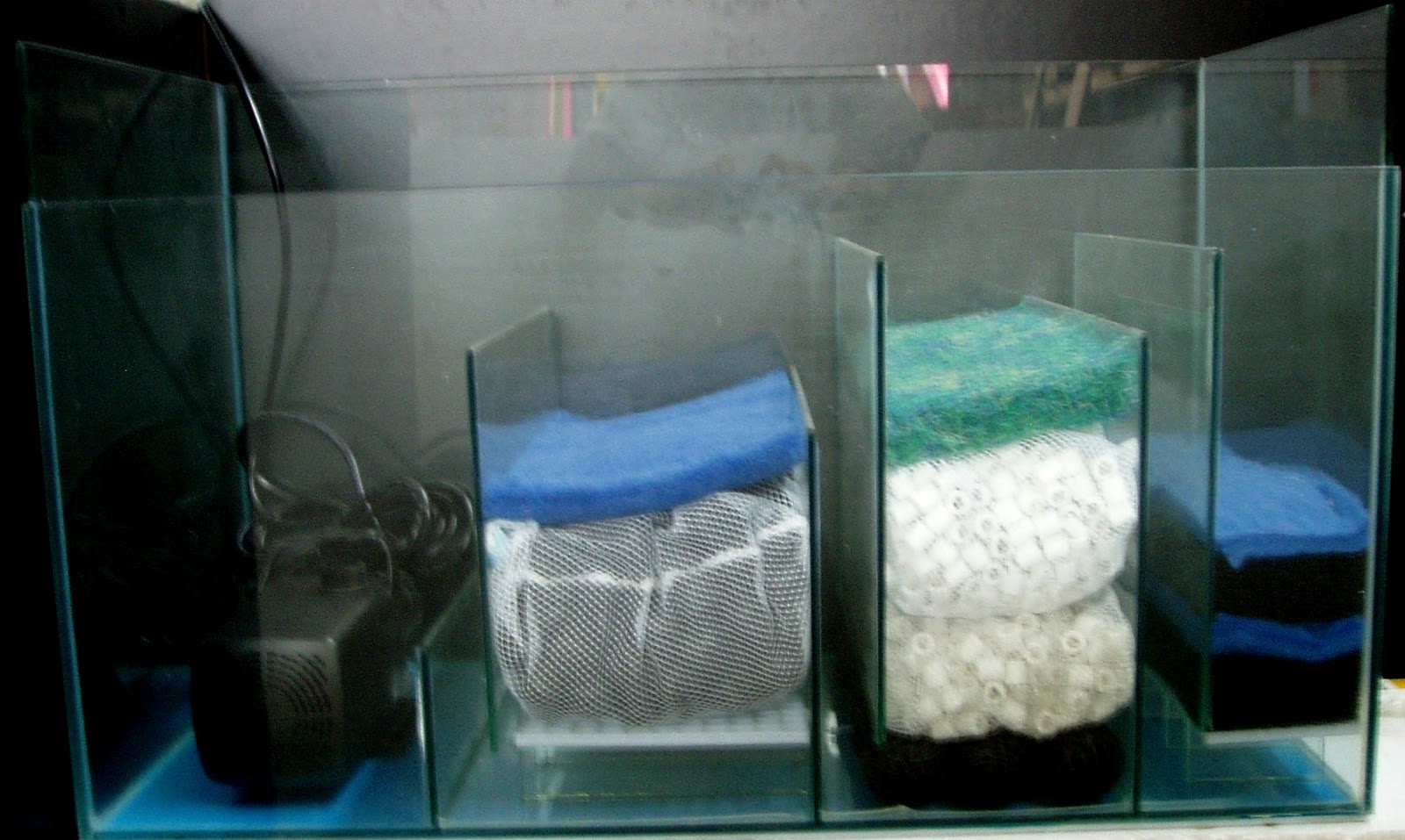 Keindahan Akuarium Dan Penghuninya Harga Filter Akuarium Dan Jenisnya