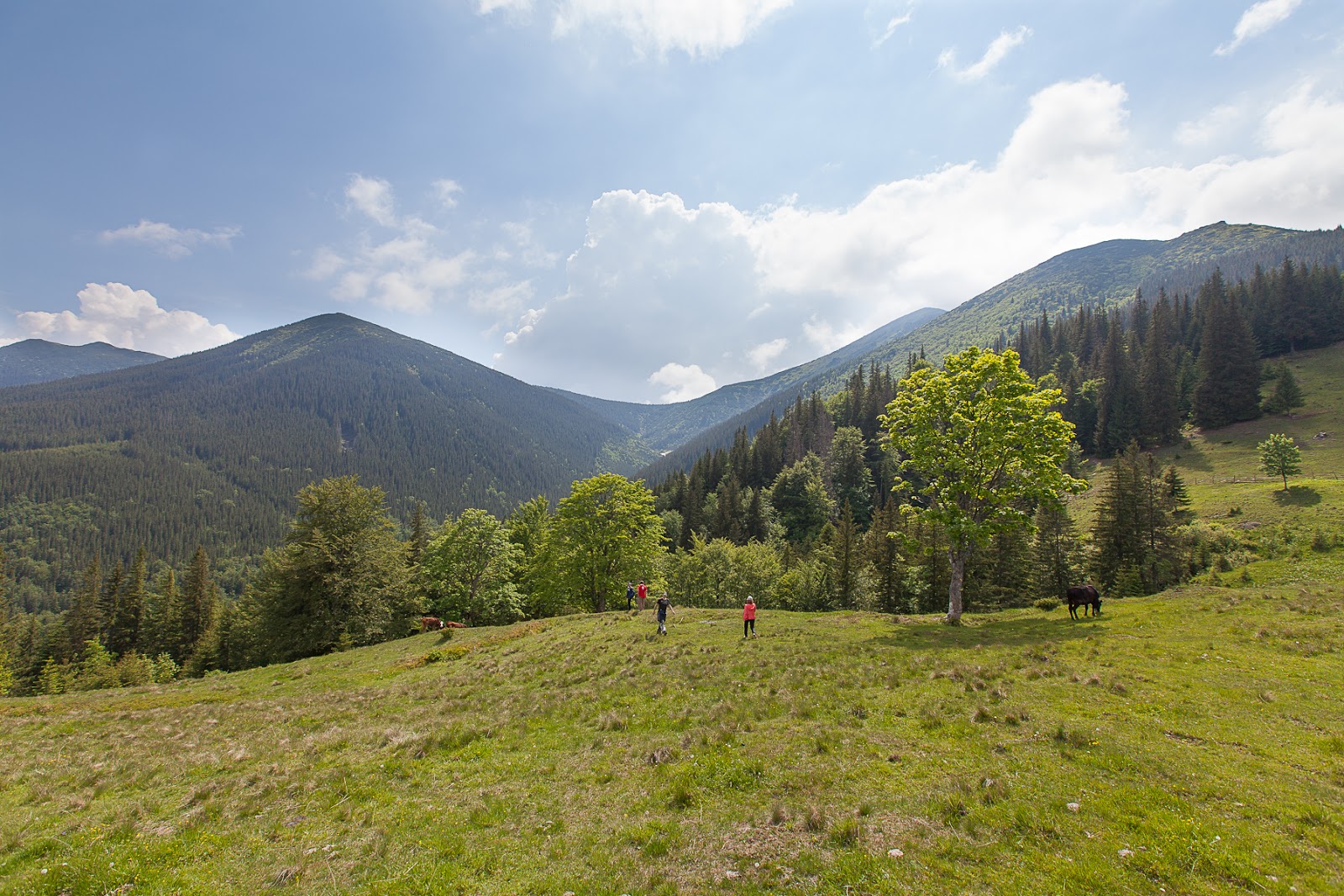 горы 2013. чо ойю вершина. морена в горах. горы 2013. морена рельеф.