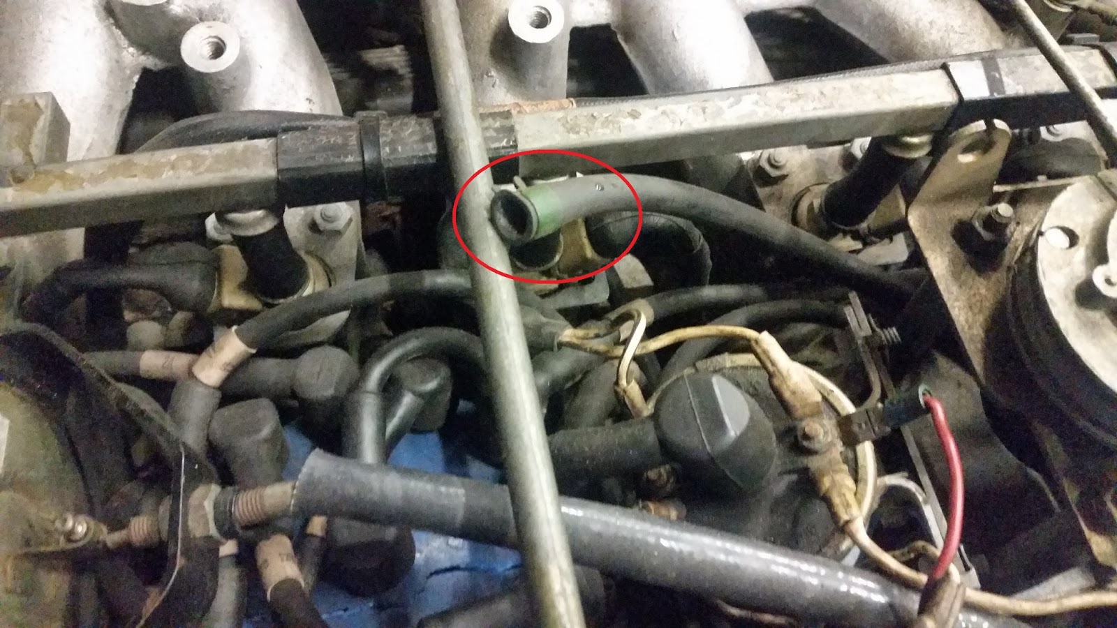 Jaguar XJS Distributor cap and rotor replacement