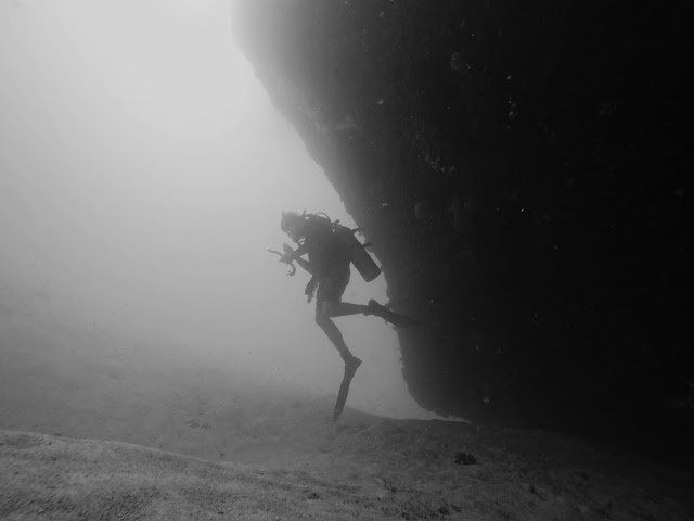 Diving in Barbados | Copyright: Skip to Malou Blog Diving, Underwater Photography, Barbados, Black and White Photography, GoPro