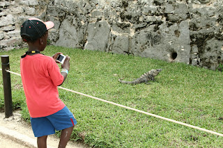 México, qué padre!! - Blogs de Mexico - Dolphin discovery, Tulum y Playa Paraíso (8)