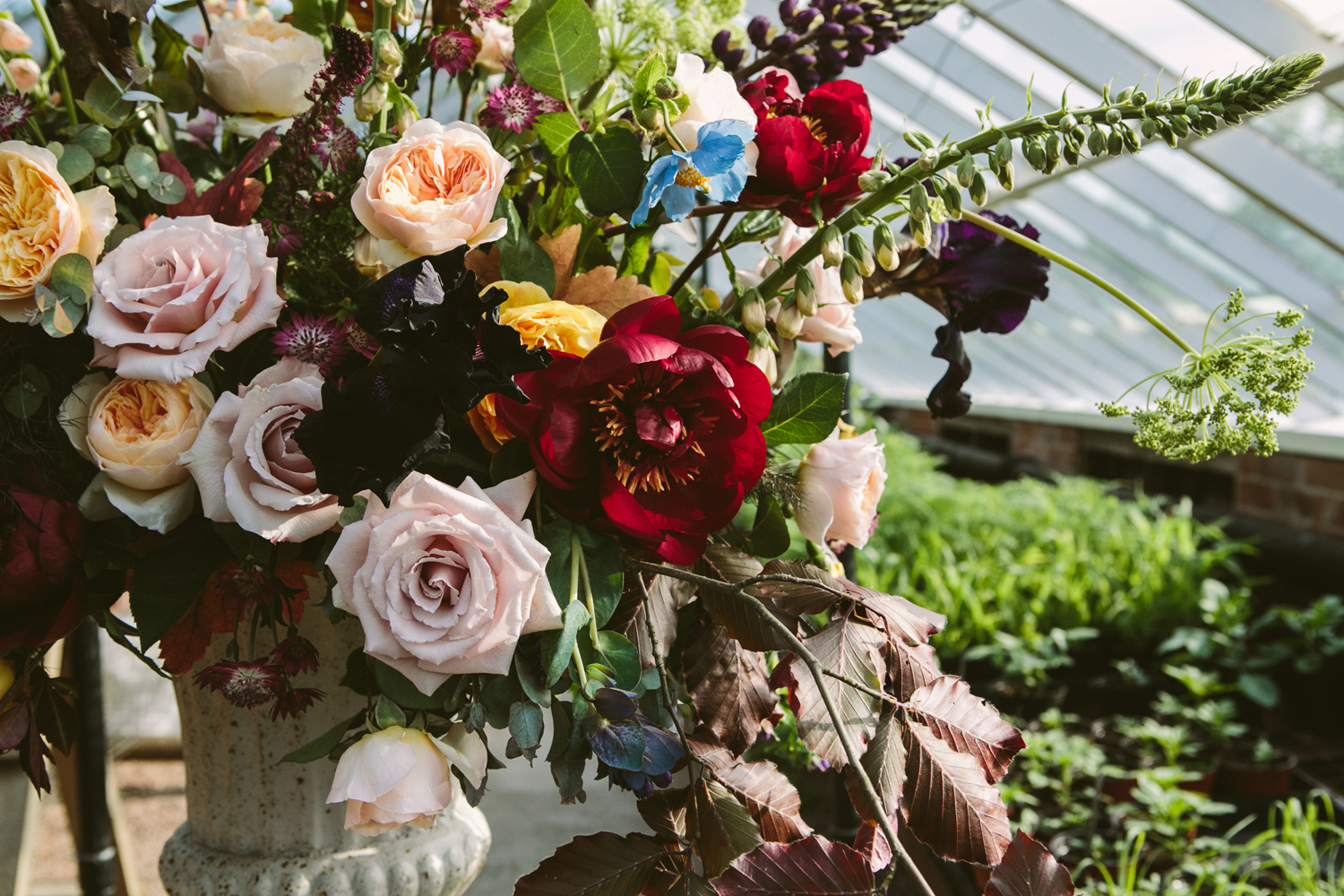 Breathtaking Beauty: Florals by Swallows and Damsons