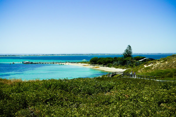 2011,  Rockingham, Australia,  Western Australia,  Penguin Island, beach,  travel