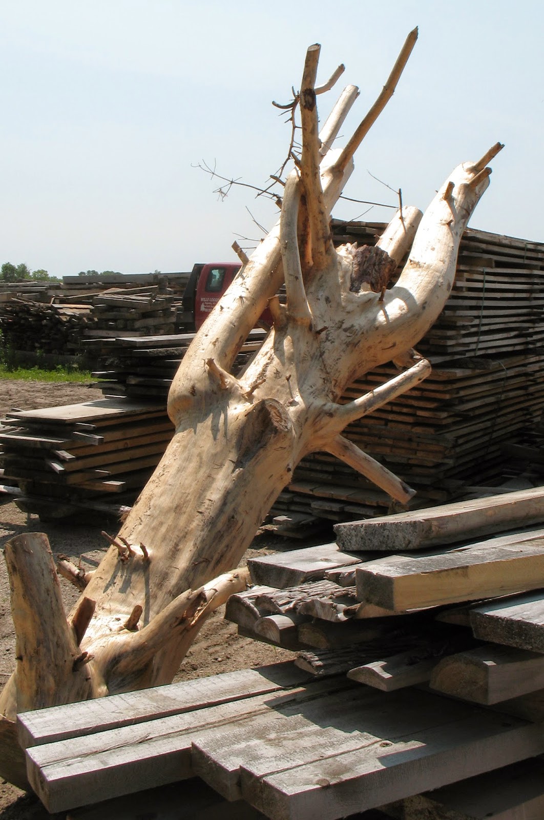 Wille Logging Lumber & Timber
