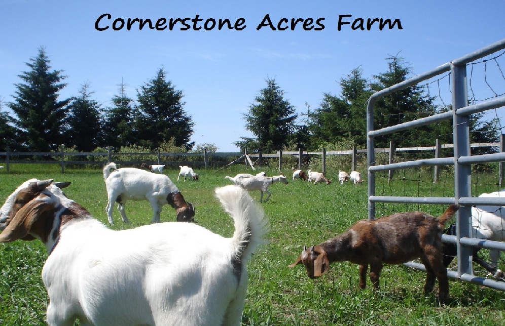 Cornerstone Acres Farm