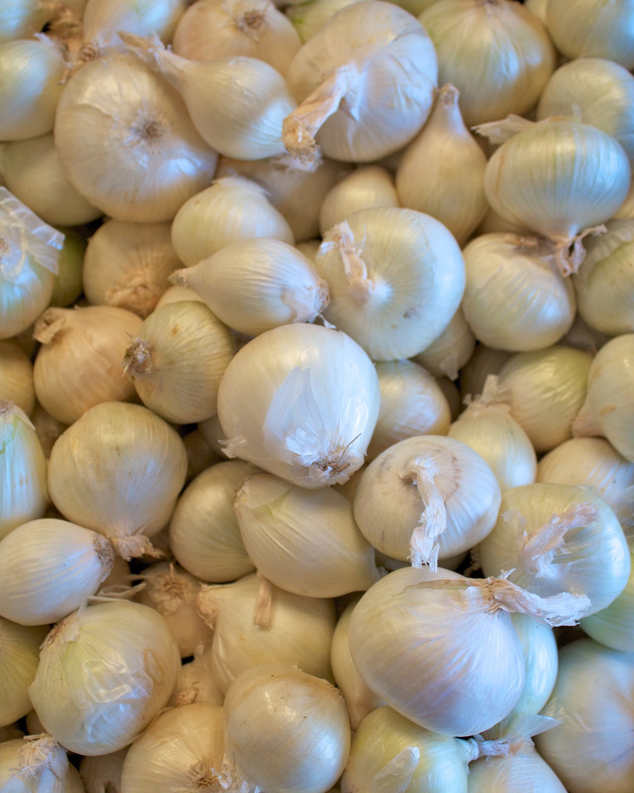 Eat Groovy Why is Garlic Good For You?