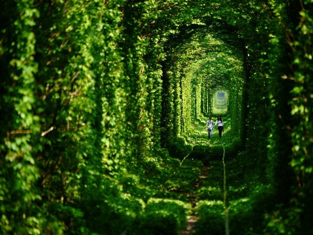 The Tunnel of Love in Ukraine