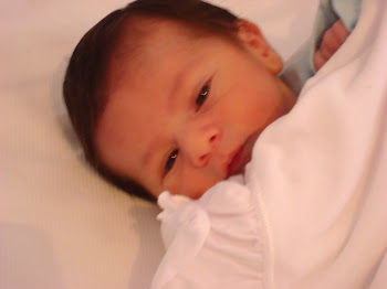Miguel - Recém-nascido 29/01/2011