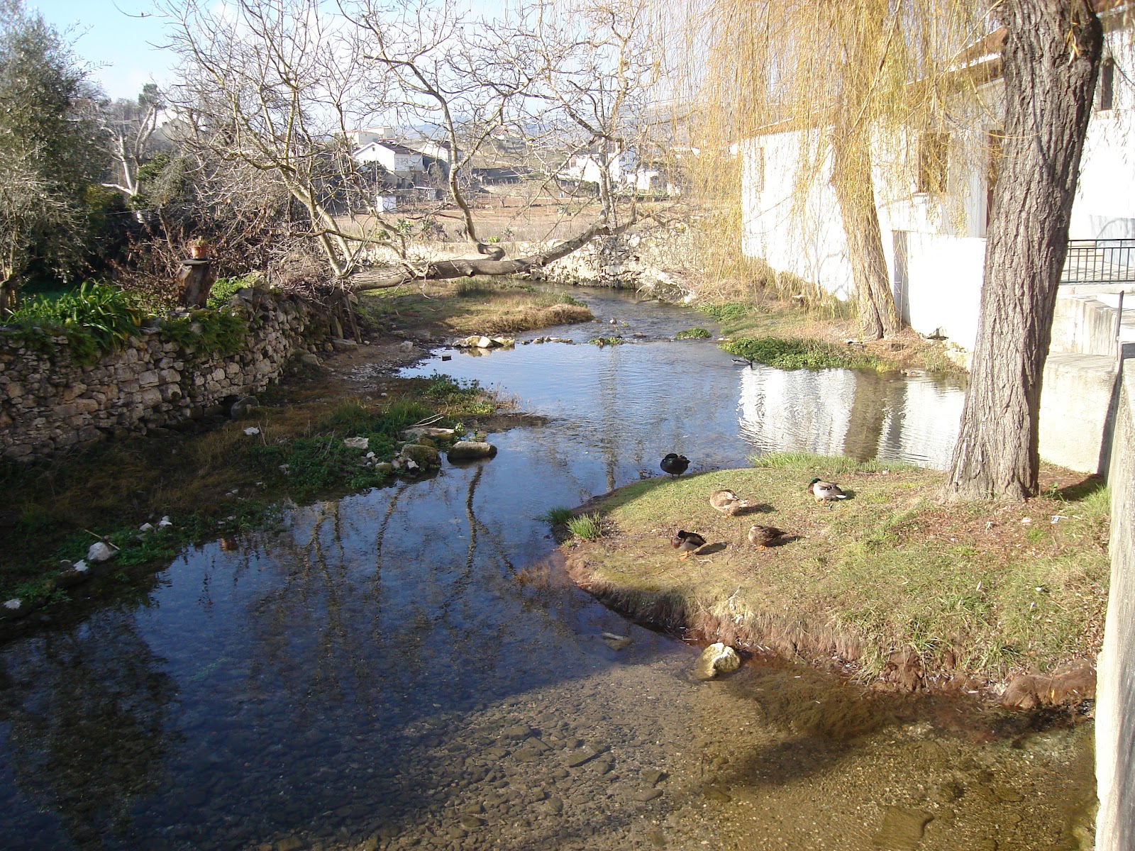 PEP Pedestres Em Percurso 6. Cortes, Leiria