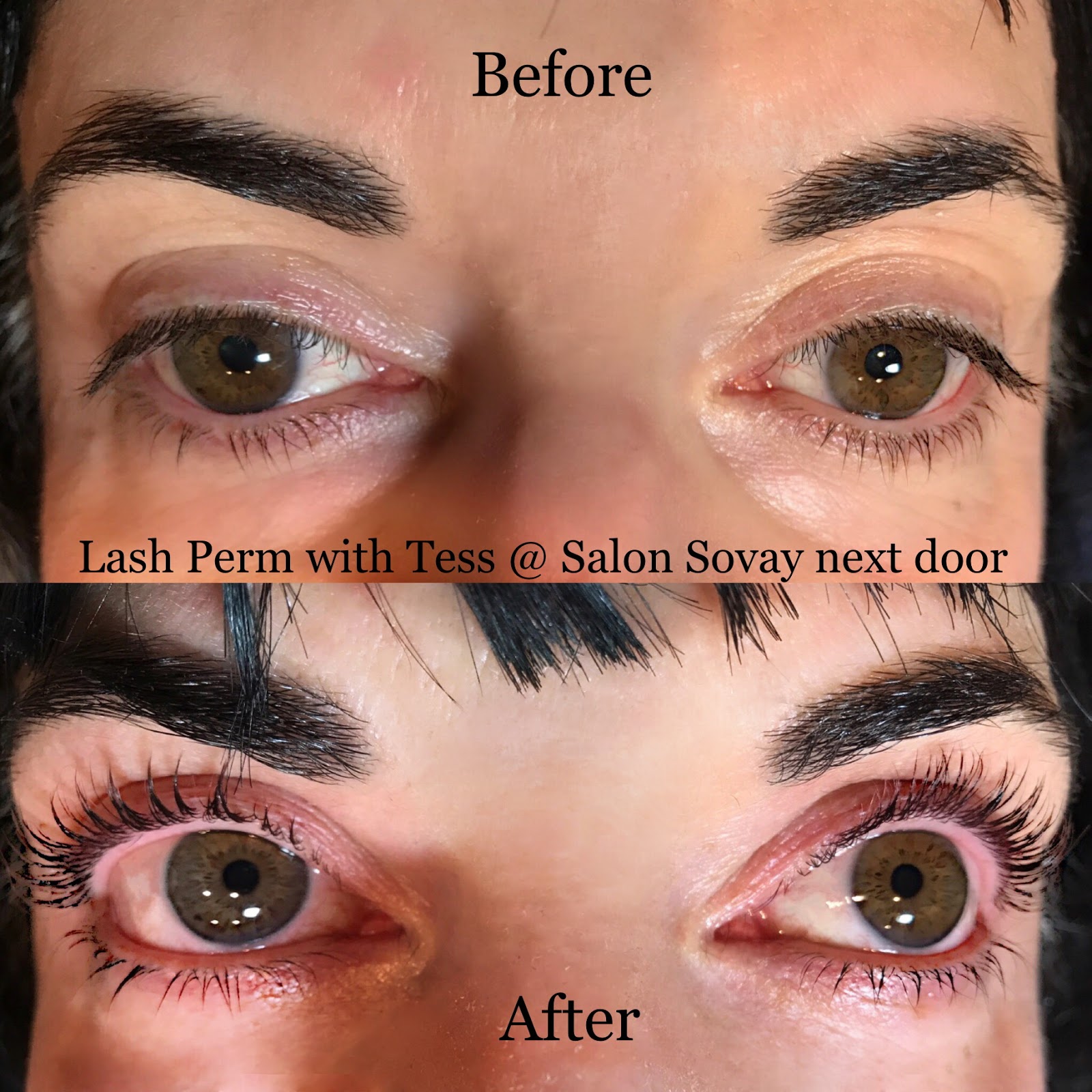Salon Sovay Eyelash Perm Eyelash Lift And Lash Perm Lash