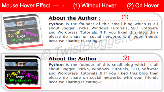 Stylish Author Box For blogger