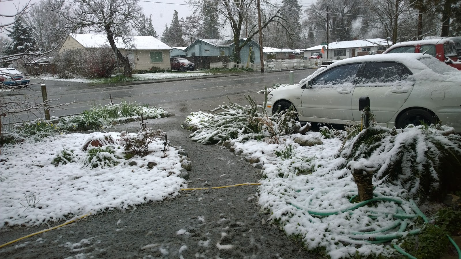 Garden Grants Pass March 2017