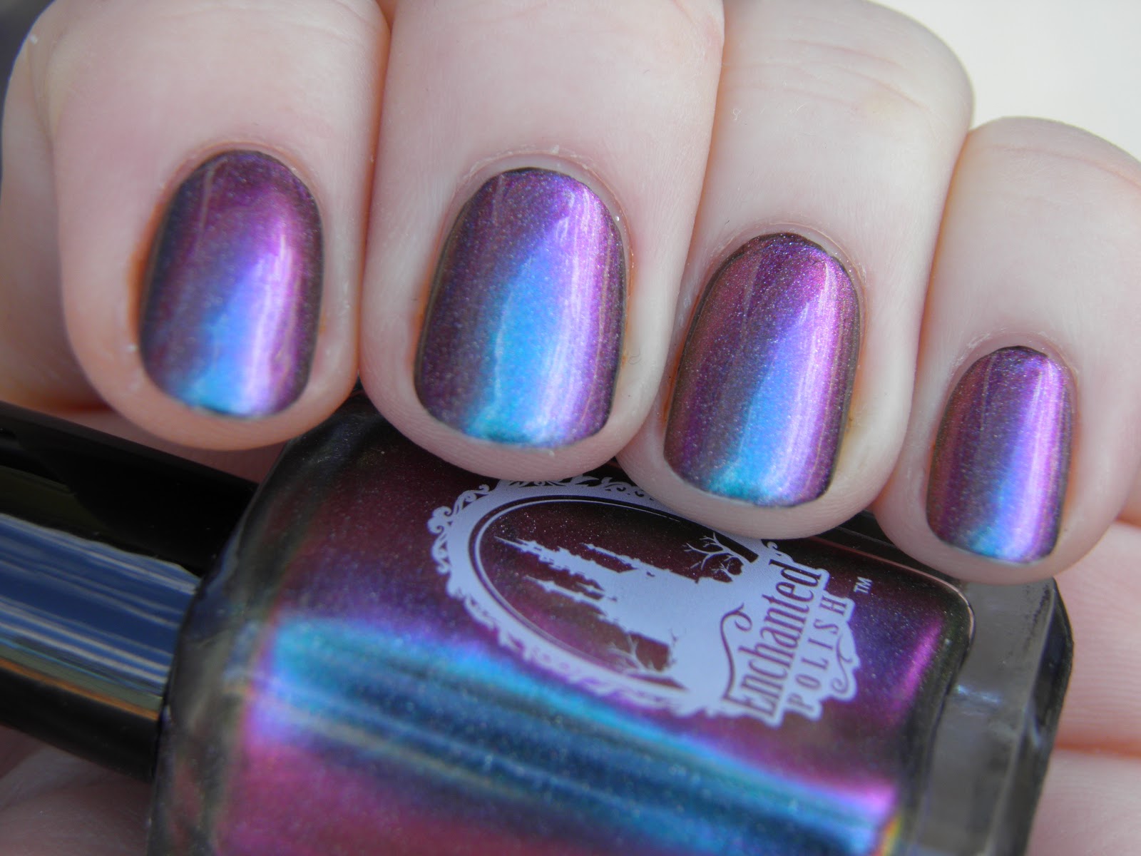 Vintage Musings Of A Modern Pinup: Enchanted Polish Magical Mystery Tour