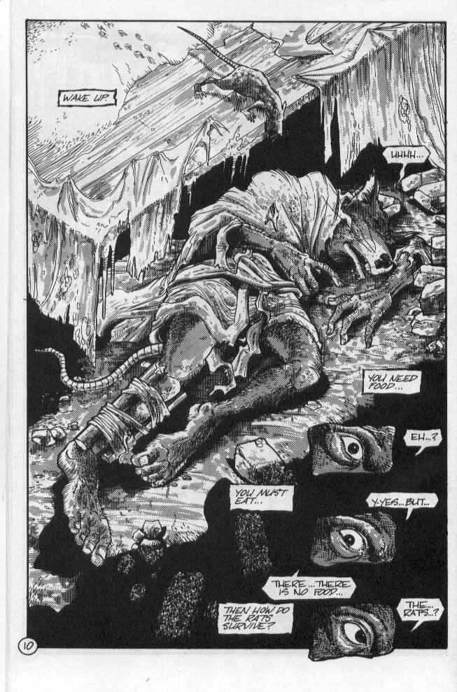 Teenage Mutant Ninja Turtles (1984) Issue #55 #55 - English 13