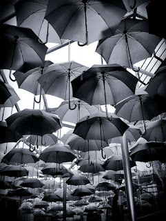 şemsiye fotoğrafları