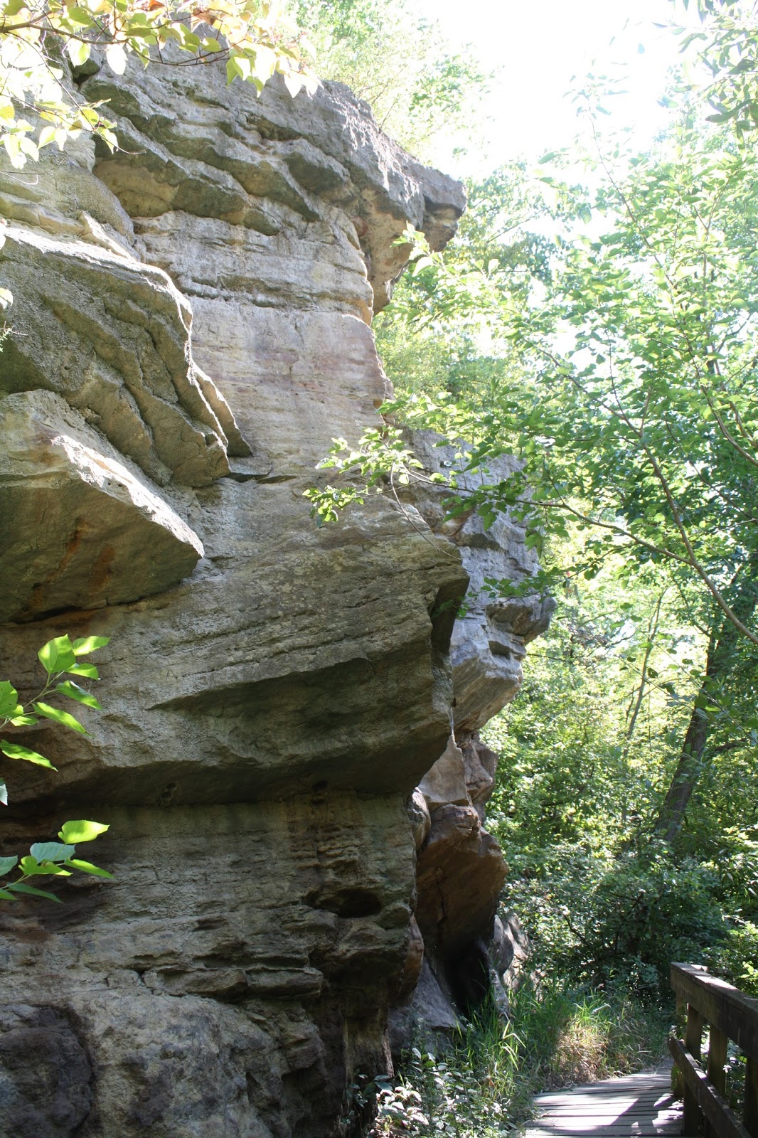 A Little Time and a Keyboard Quiet Morning in Nature at Black Hawk