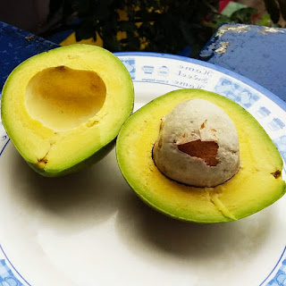  Mungkin kebanyakan dari kita atau bahkan anda sendiri saat memakan buah alpukat pasti oto Manfaat Biji Alpukat Untuk Obat Sakit Gigi, Ini Caranya !!!