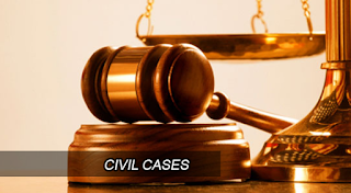 Civil Lawyer