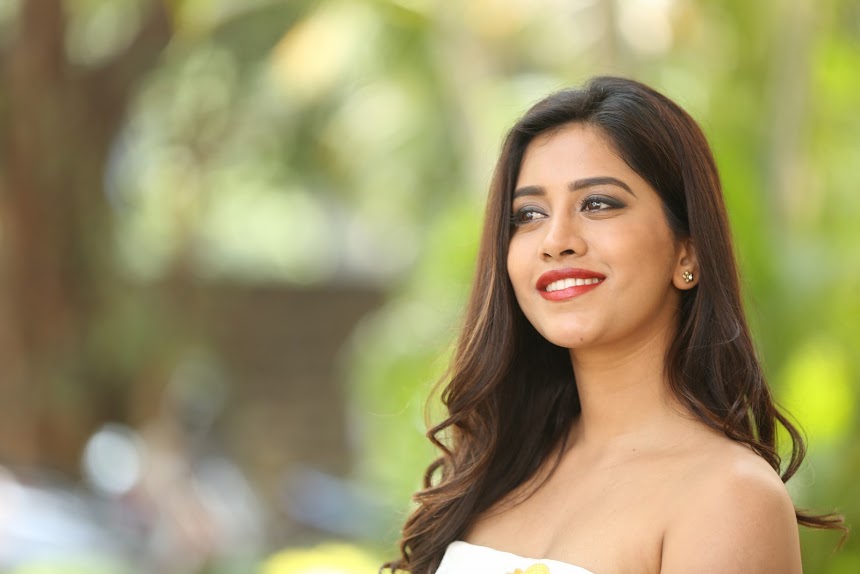 Nabha Natesh at Nannu Dochukunduvate movie Success Meet