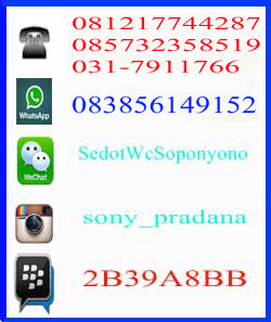 Contact Person Kami