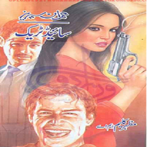 Side Track by Mazhar Kaleem M.A pdf download book cover