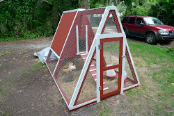 chicken coop swing diy repurposed plans duck build frame easy coops nest chickens instructions wing empty story coup june garden