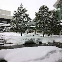 大雪の駅前の写真