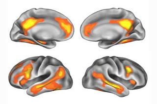 Quando nasce un figlio neuroni di madre cambiano