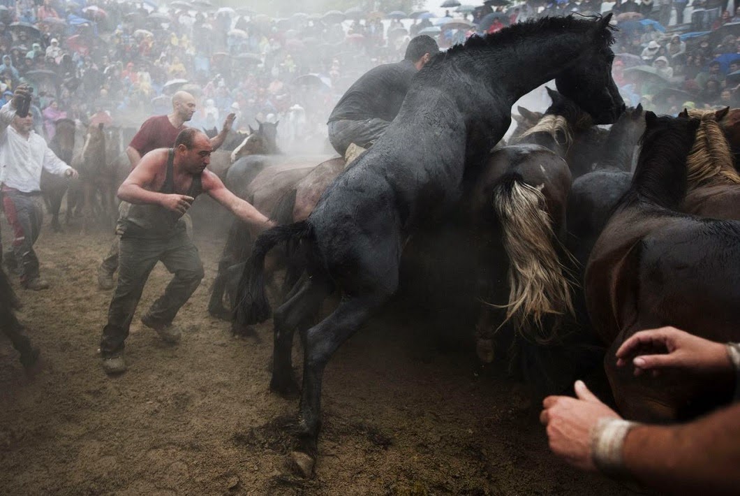 культ коня женщина в коне. человек внутри лошади. культ коня женщина в коне. деревенские лошади. культ коня в греции обряд.