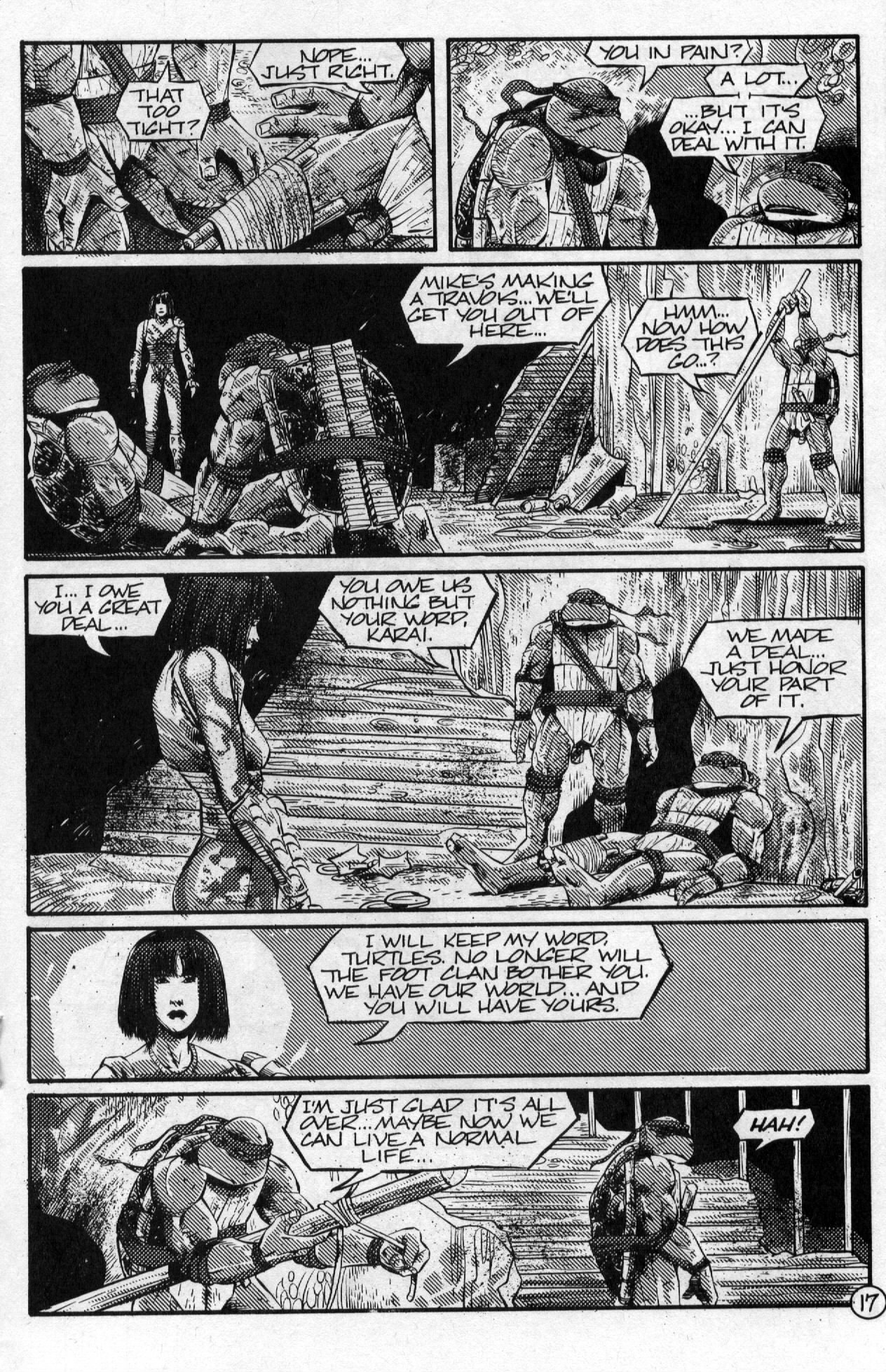 Teenage Mutant Ninja Turtles (1984) Issue #61 #61 - English 19