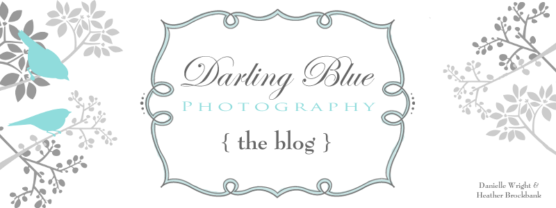 { darling blue photography }