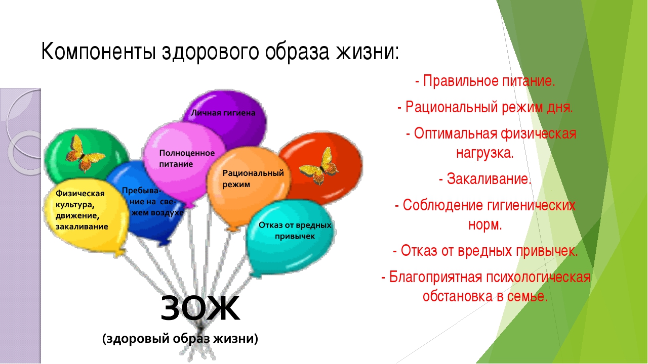 Слагаемые разумного образа жизни схема менеджмент