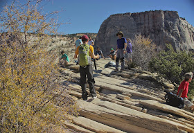 Scouts Lookout, Zion National Park