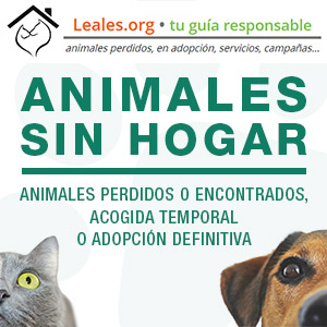 • Animales sin hogar