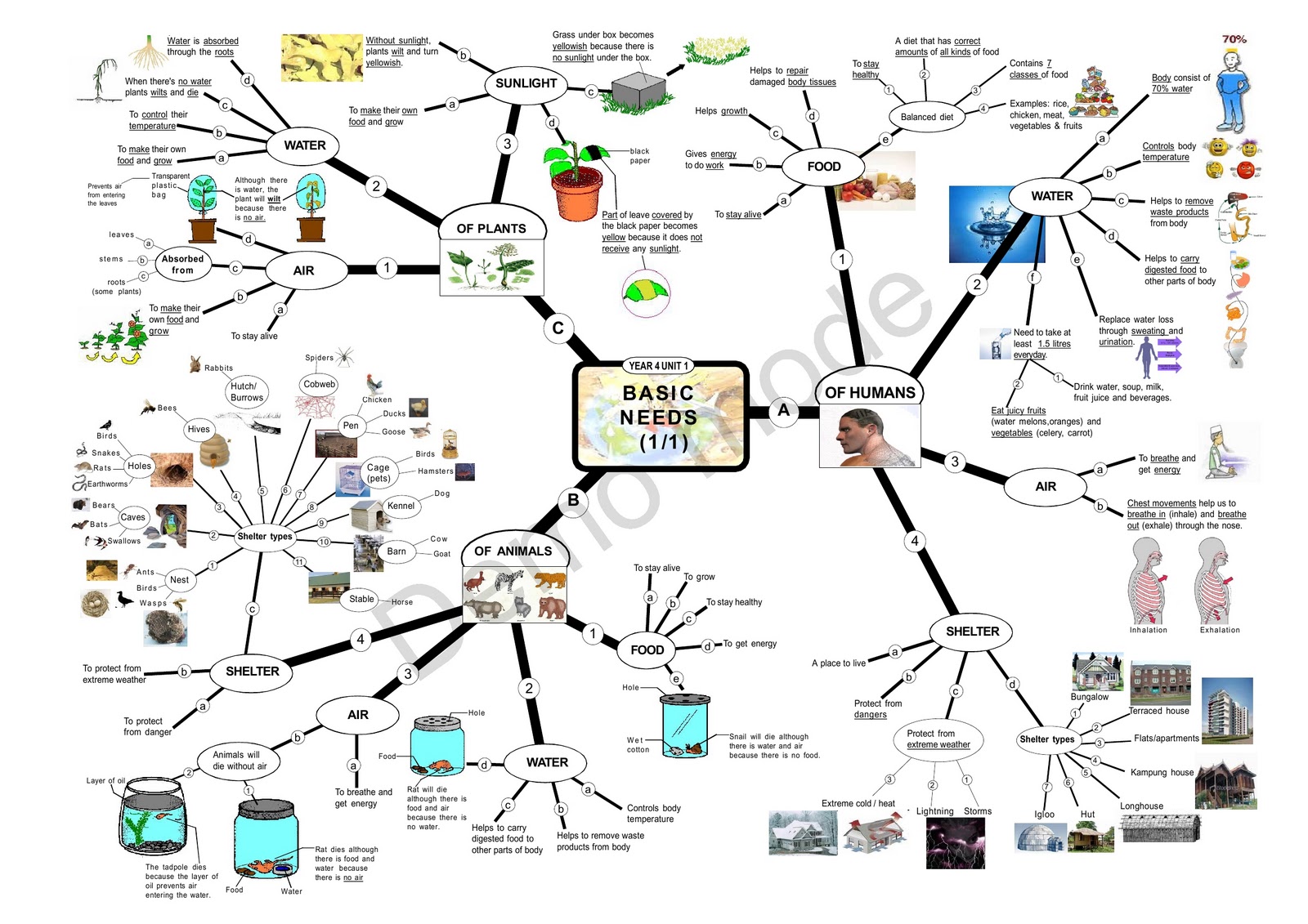 Bersama Cikgu Nurul AiN (~_~): Basic Needs - Science Mind Map