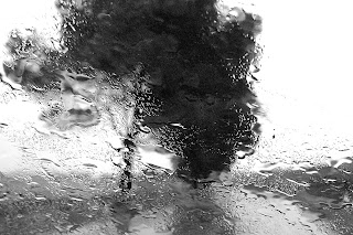Elio Ugenti cineclash Abbas Kiarostami Rain