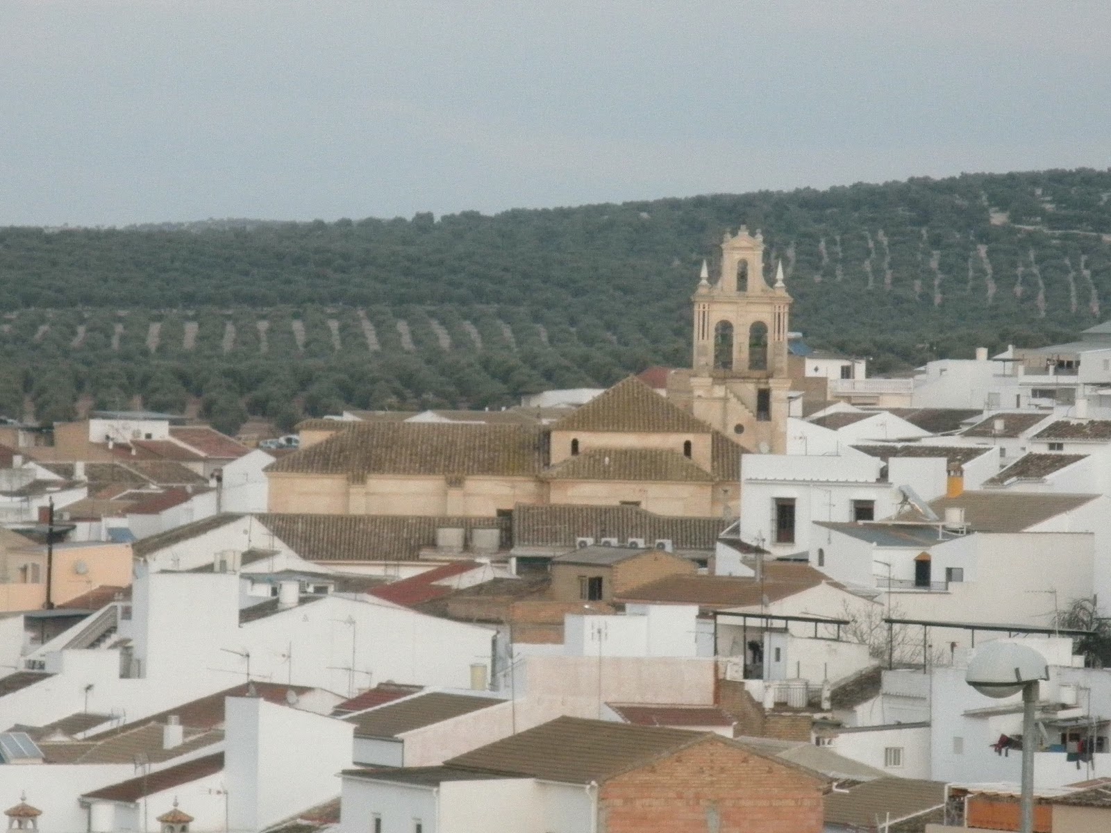 CRÓNICAS DE CASARICHE