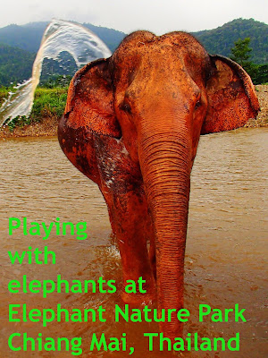 Travel the World: Spend a day at Chiang Mai’s Elephant Nature Park in Thailand, a place that rescues and provides sanctuary to neglected, abused, and abandoned elephants.