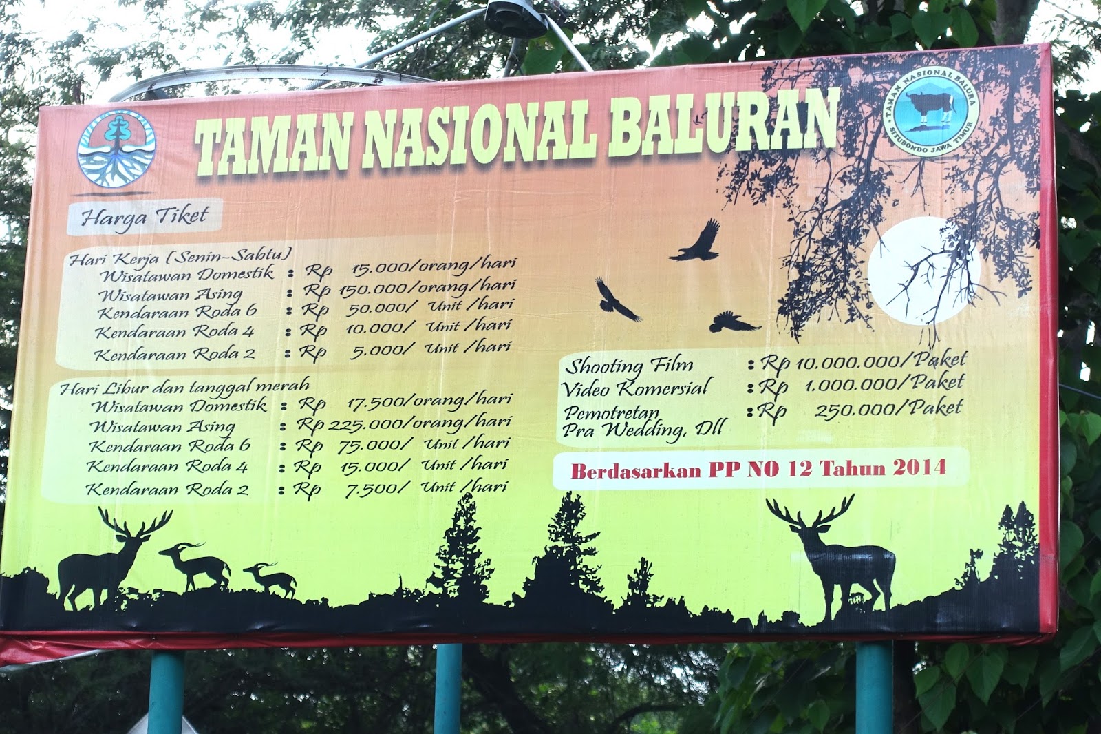 Info Paguci Taman Nasional Baluran Info Tiket Masuk