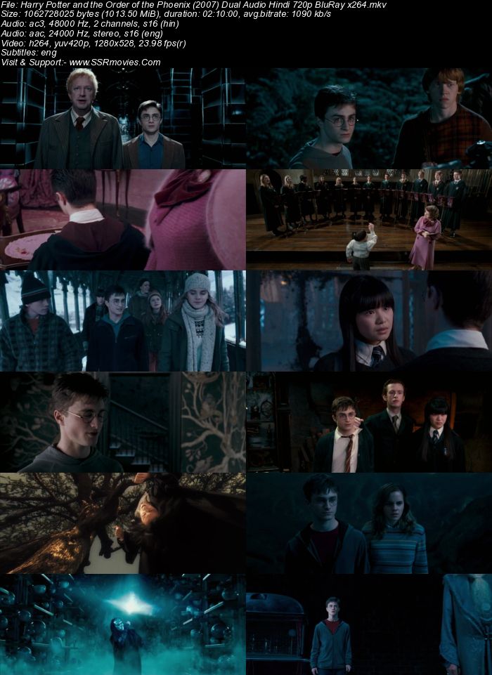 Harry Potter and the Order of the Phoenix (2007) Dual Audio Hindi 480p BluRay x264 400MB Movie Download
