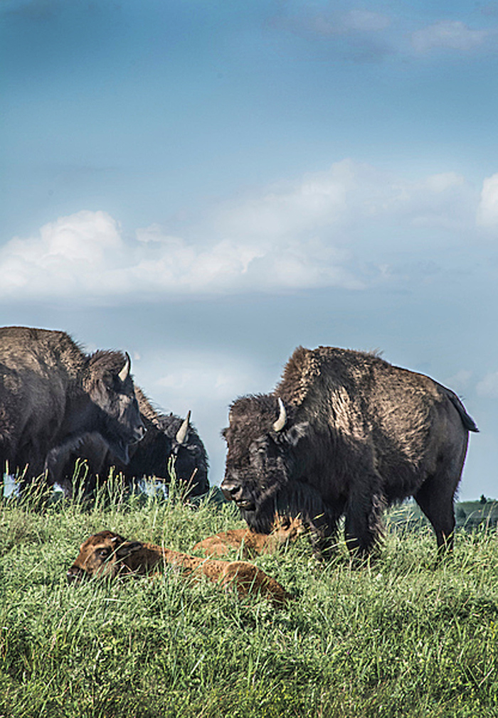 Kansas Transportation Maxwell Wildlife Refuge