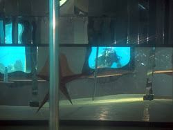 underwater abandoned strip club israel sea eilat places building bar preserved perfectly interior reddit deserted glimpse unbelievable provides past into
