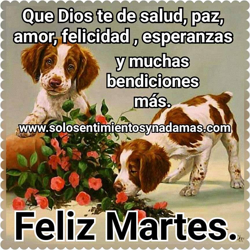 Que Dios te de salud, paz, amor, felicidad... - Solo sentimientos y nada mas