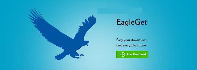 تحميل برنامج التحميل eagleget منآفس برنامج IDM