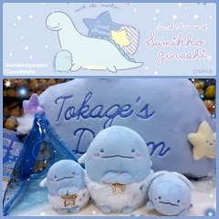 2019 Tokage's Dream Collection