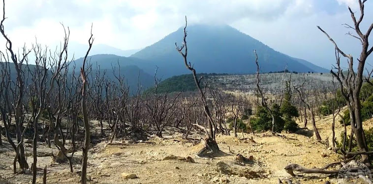 Info Terkini Pendakian Gunung Papandayan Info Terkini Pendakian Gunung Papandayan
