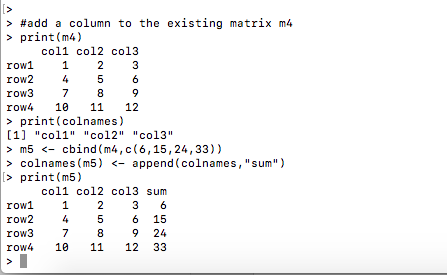 Adding a row or a column to an existing Matrix in R - OindrilaSen