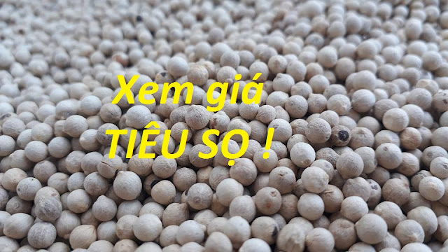 Bán tiêu xanh tươi ngon giá rẻ giao hàng tận nơi - 7